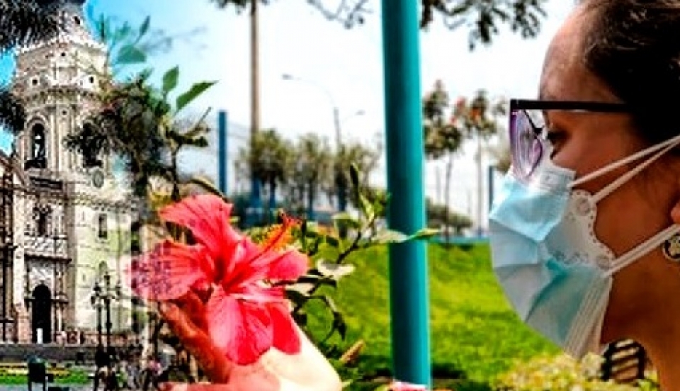 Limay Perú - Portal de Noticias de Lima Norte