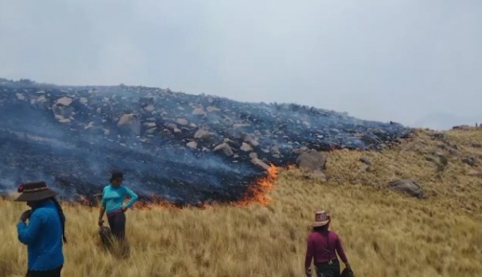 Limay Perú - Portal de Noticias de Lima Norte