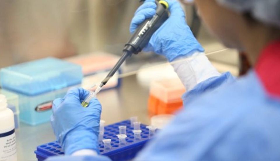 Limay Perú - Portal de Noticias de Lima Norte