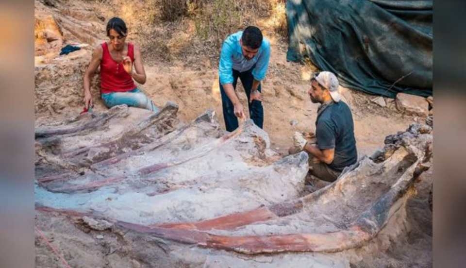 Limay Perú - Portal de Noticias de Lima Norte Limay Perú - Portal de Noticias de Lima Norte