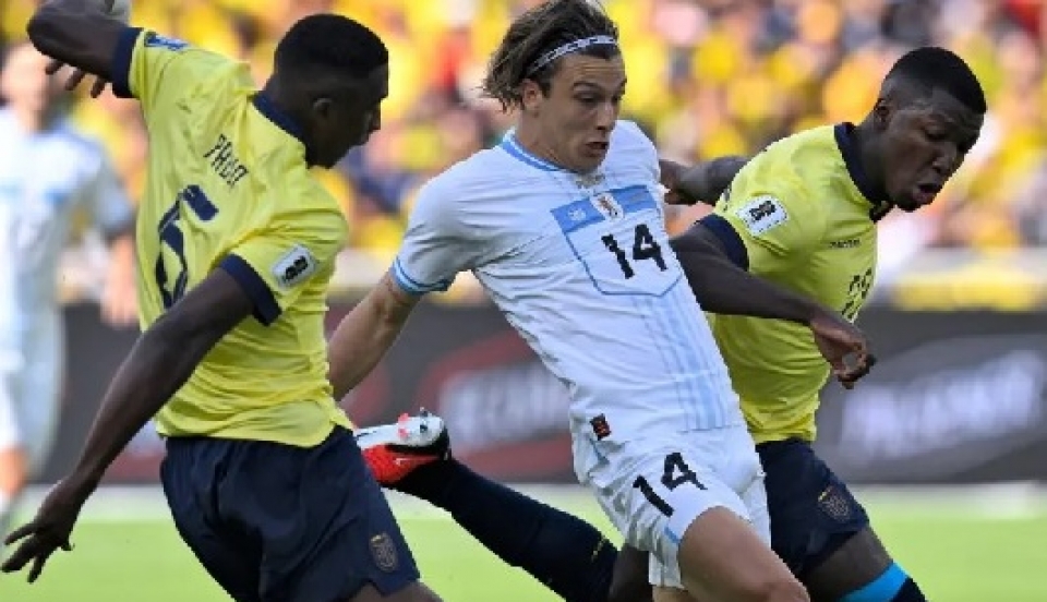 Limay Perú - Portal de Noticias de Lima Norte