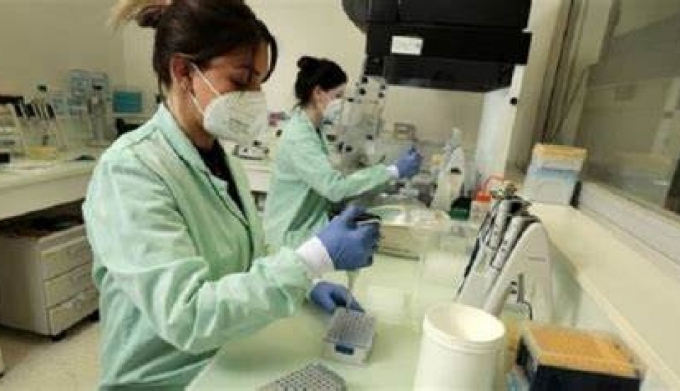 Limay Perú - Portal de Noticias de Lima Norte Limay Perú - Portal de Noticias de Lima Norte