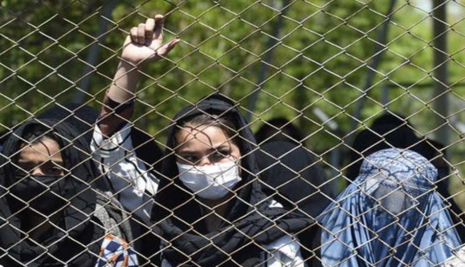 Limay Perú - Portal de Noticias de Lima Norte Limay Perú - Portal de Noticias de Lima Norte