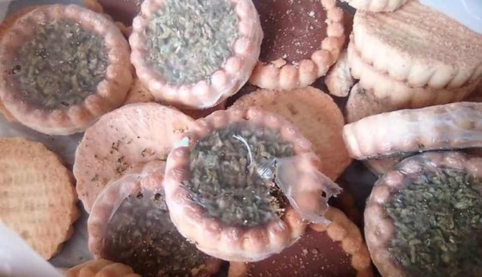 Limay Perú - Portal de Noticias de Lima Norte Limay Perú - Portal de Noticias de Lima Norte