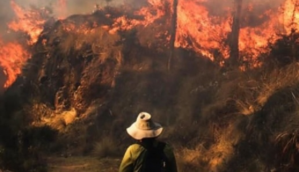 Limay Perú - Portal de Noticias de Lima Norte