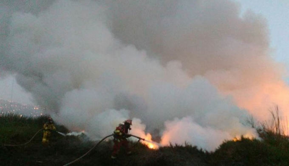 Limay Perú - Portal de Noticias de Lima Norte Limay Perú - Portal de Noticias de Lima Norte