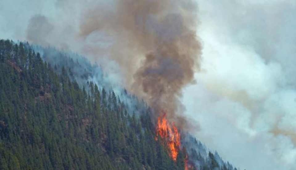 Limay Perú - Portal de Noticias de Lima Norte Limay Perú - Portal de Noticias de Lima Norte