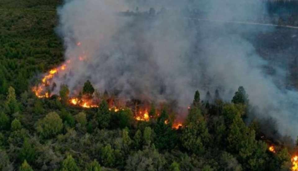 Limay Perú - Portal de Noticias de Lima Norte