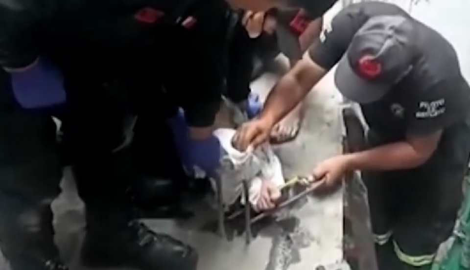 Limay Perú - Portal de Noticias de Lima Norte