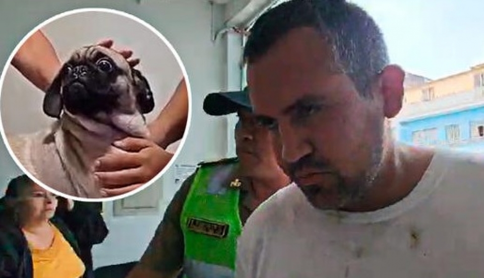 Limay Perú - Portal de Noticias de Lima Norte