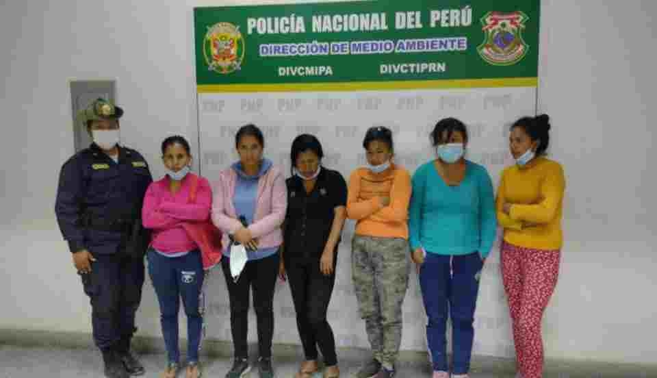 Limay Perú - Portal de Noticias de Lima Norte