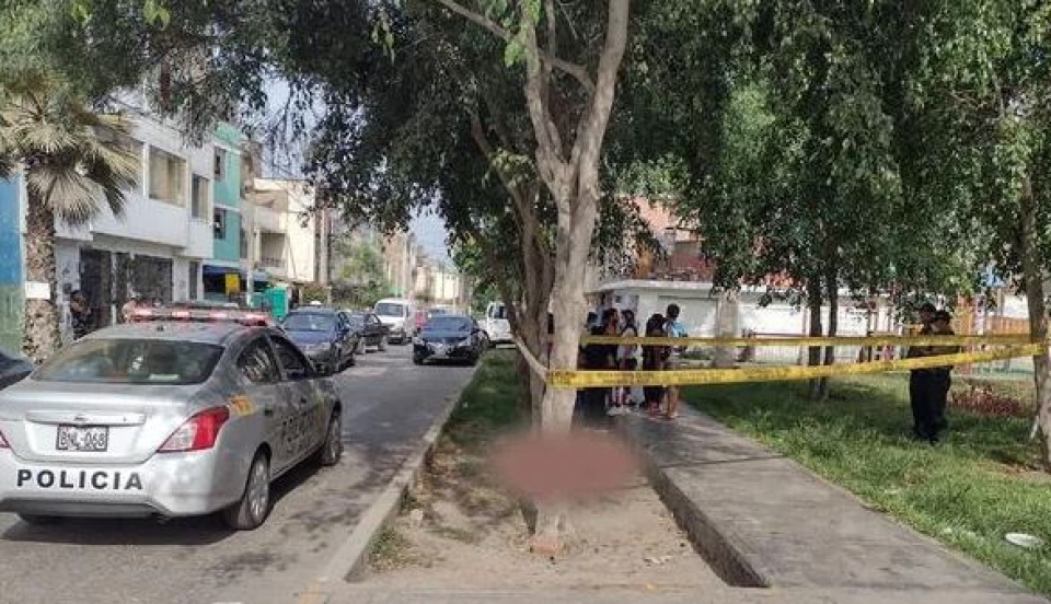 Limay Perú - Portal de Noticias de Lima Norte