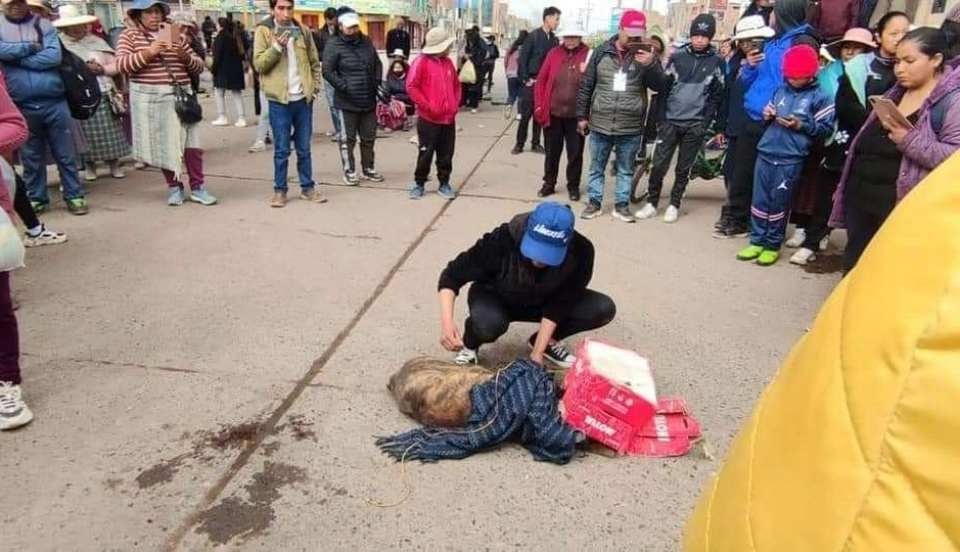 Limay Perú - Portal de Noticias de Lima Norte