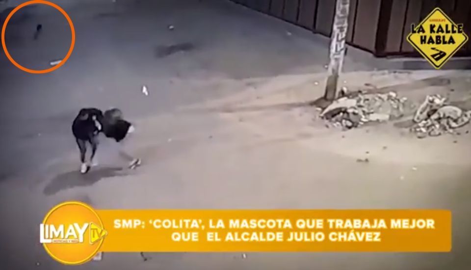 Limay Perú - Portal de Noticias de Lima Norte