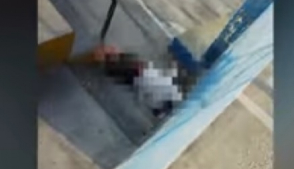 Limay Perú - Portal de Noticias de Lima Norte