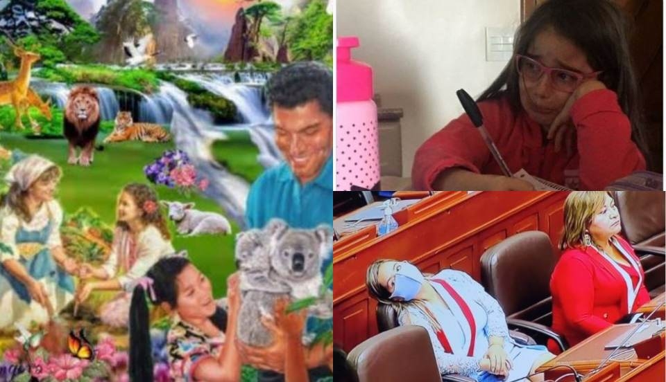 Limay Perú - Portal de Noticias de Lima Norte