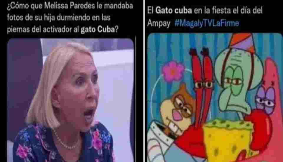 Limay Perú - Portal de Noticias de Lima Norte