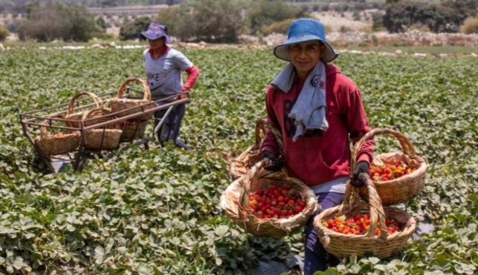 Limay Perú - Portal de Noticias de Lima Norte