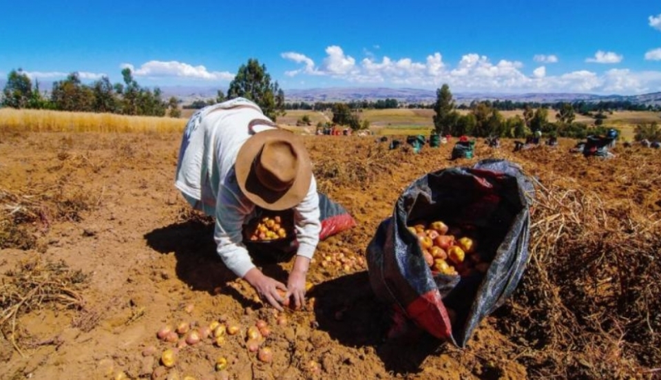 Limay Perú - Portal de Noticias de Lima Norte