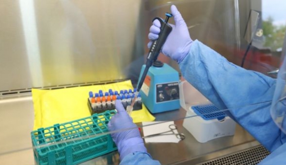 Limay Perú - Portal de Noticias de Lima Norte