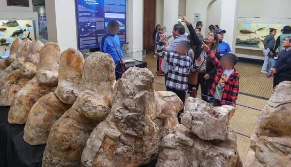 Limay Perú - Portal de Noticias de Lima Norte