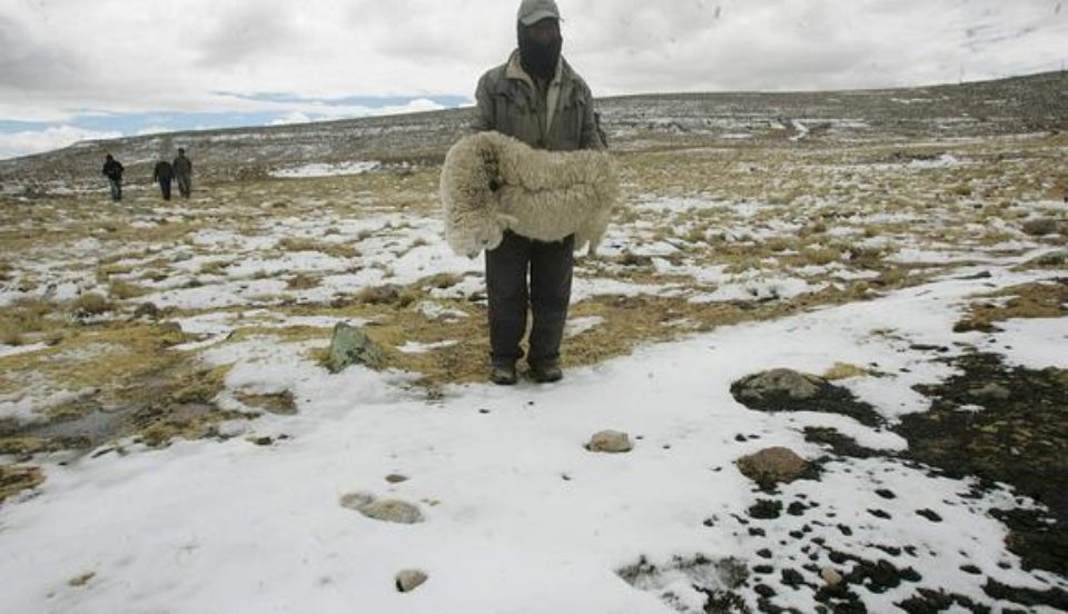 Limay Perú - Portal de Noticias de Lima Norte