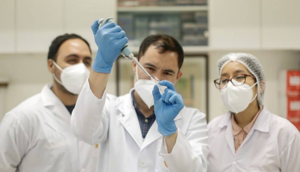 Limay Perú - Portal de Noticias de Lima Norte