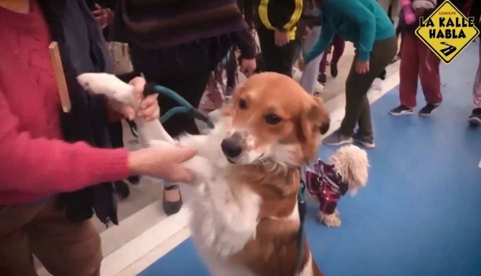 Limay Perú - Portal de Noticias de Lima Norte