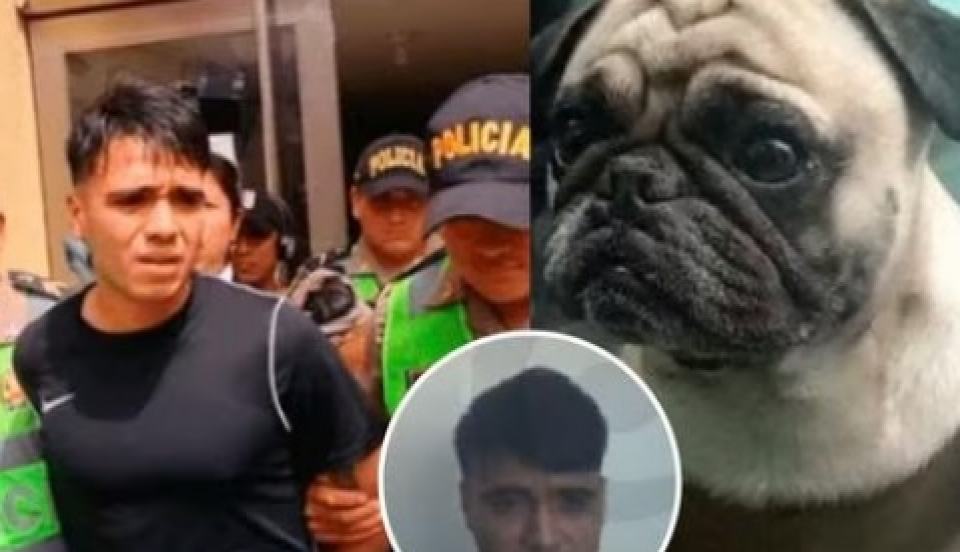 Limay Perú - Portal de Noticias de Lima Norte