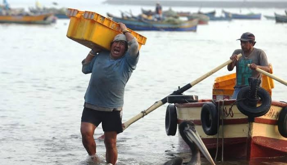 Limay Perú - Portal de Noticias de Lima Norte