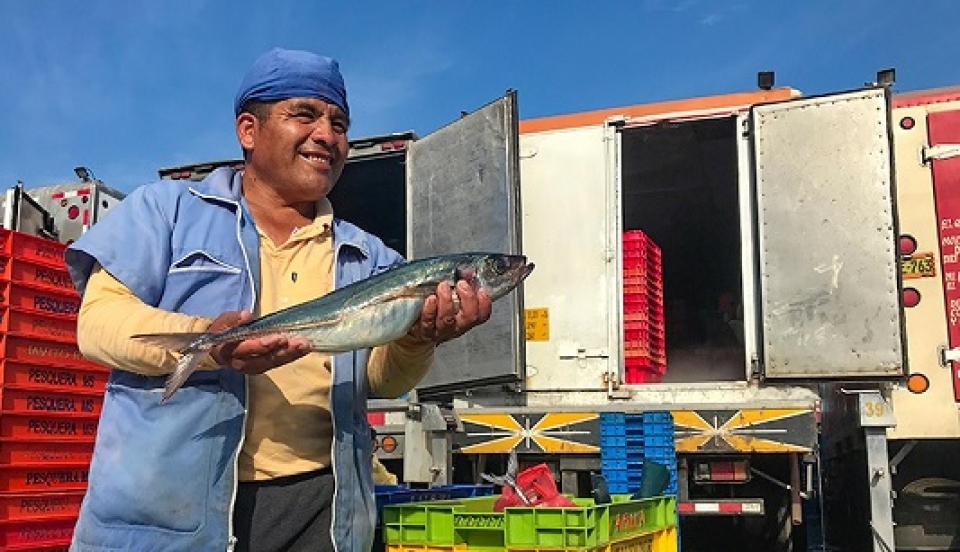 Limay Perú - Portal de Noticias de Lima Norte