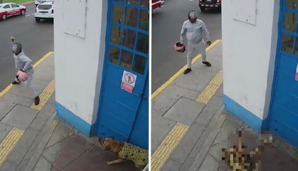 Limay Perú - Portal de Noticias de Lima Norte