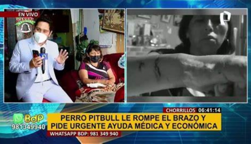 Limay Perú - Portal de Noticias de Lima Norte