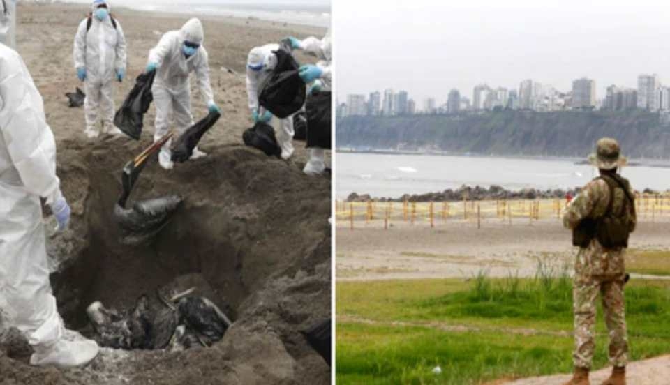 Limay Perú - Portal de Noticias de Lima Norte