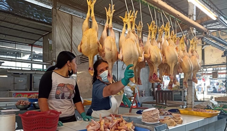 Limay Perú - Portal de Noticias de Lima Norte