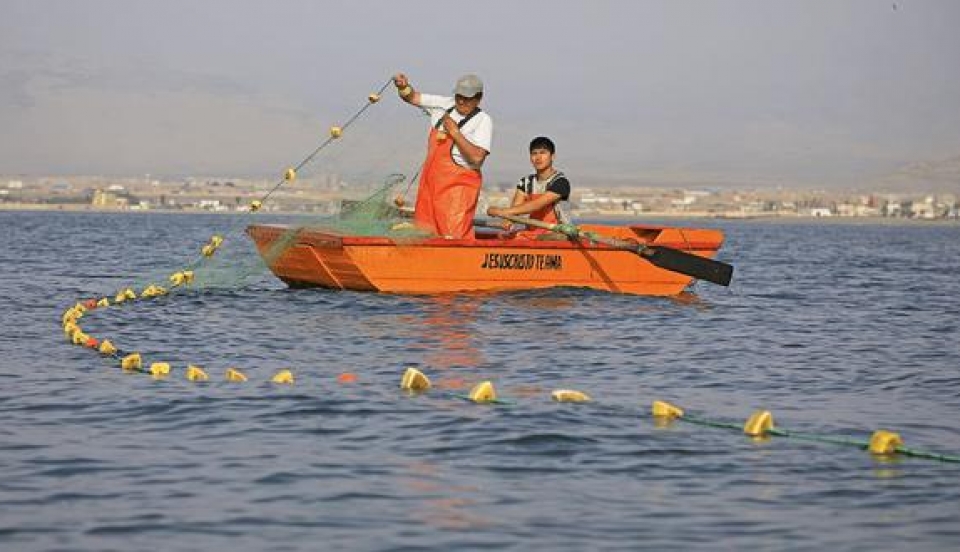 Limay Perú - Portal de Noticias de Lima Norte Limay Perú - Portal de Noticias de Lima Norte