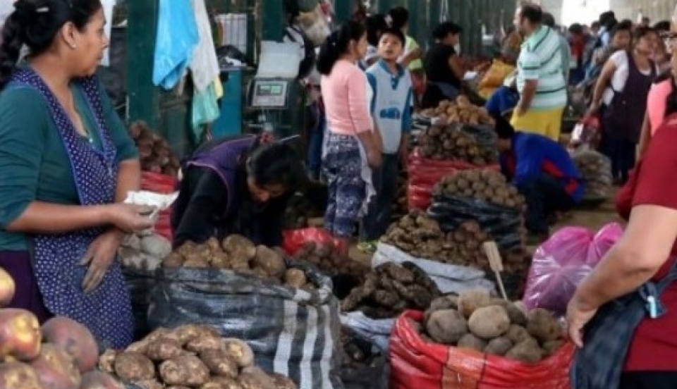 Limay Perú - Portal de Noticias de Lima Norte