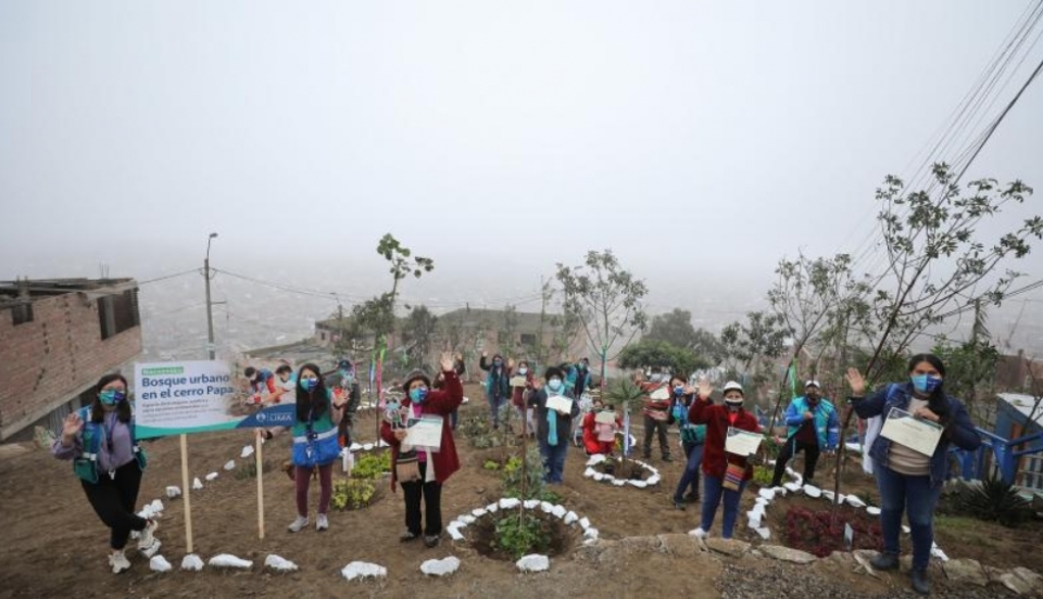 Limay Perú - Portal de Noticias de Lima Norte
