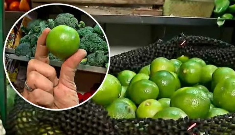 Limay Perú - Portal de Noticias de Lima Norte