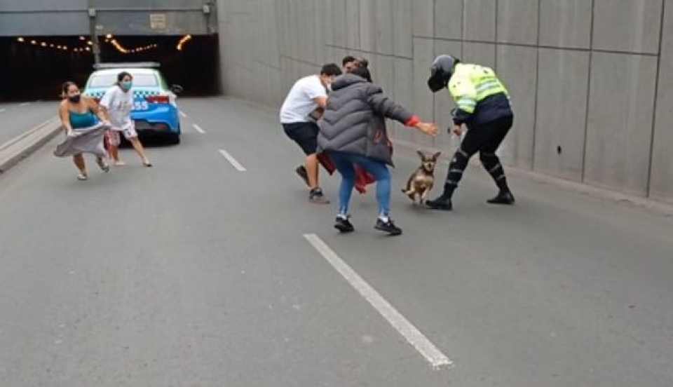 Limay Perú - Portal de Noticias de Lima Norte