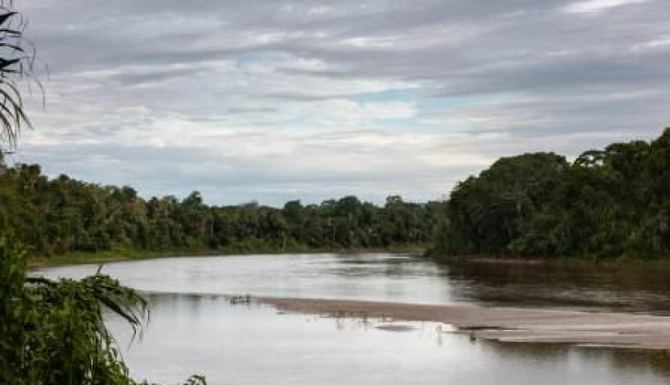 Limay Perú - Portal de Noticias de Lima Norte Limay Perú - Portal de Noticias de Lima Norte