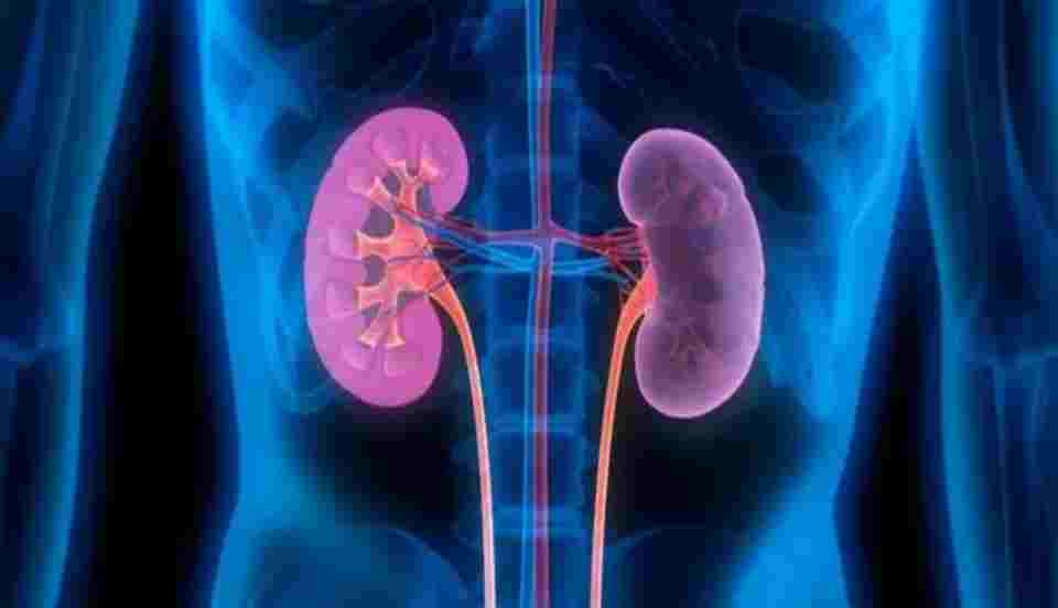 Limay Perú - Portal de Noticias de Lima Norte