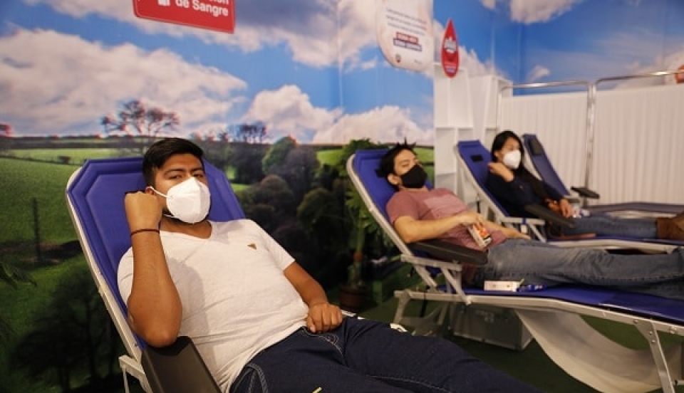 Limay Perú - Portal de Noticias de Lima Norte