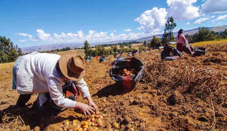 Limay Perú - Portal de Noticias de Lima Norte