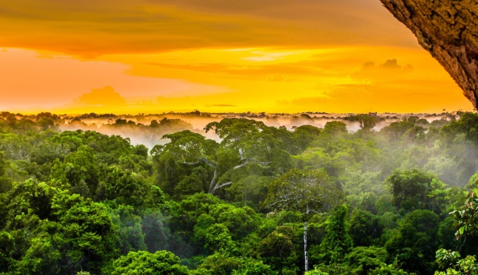 Limay Perú - Portal de Noticias de Lima Norte