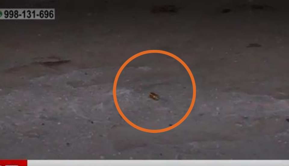 Limay Perú - Portal de Noticias de Lima Norte