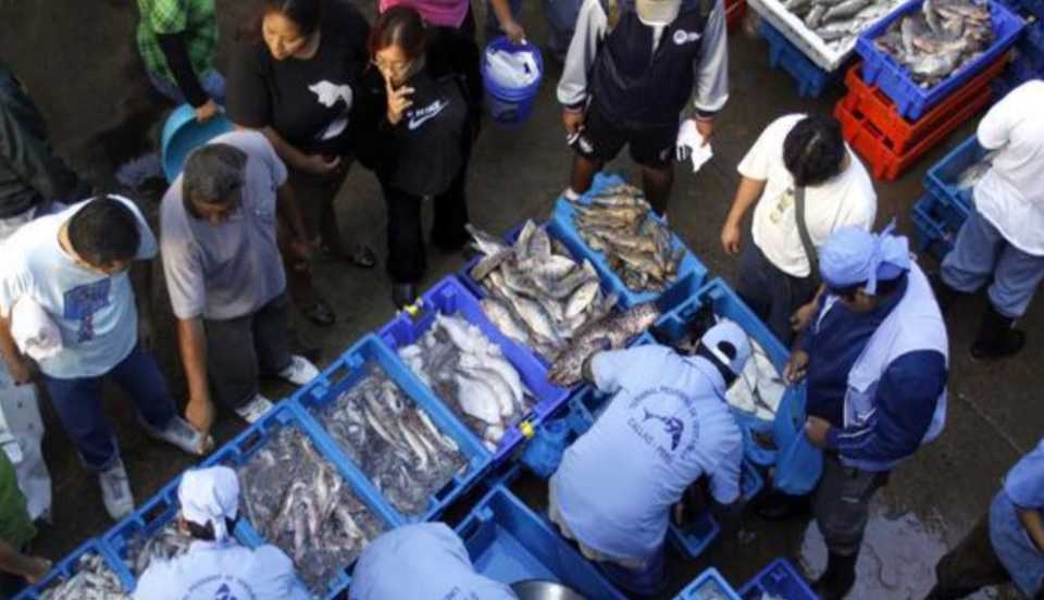 Limay Perú - Portal de Noticias de Lima Norte