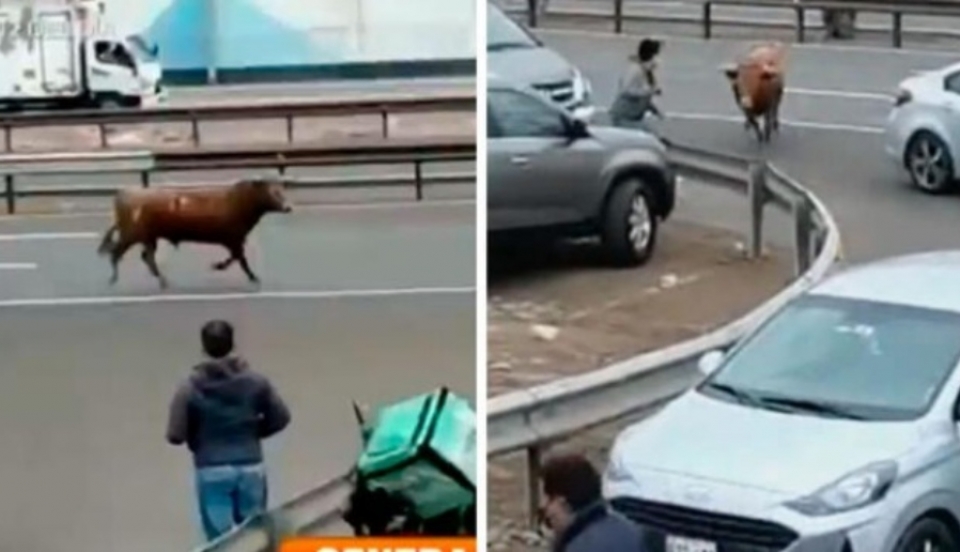 Limay Perú - Portal de Noticias de Lima Norte