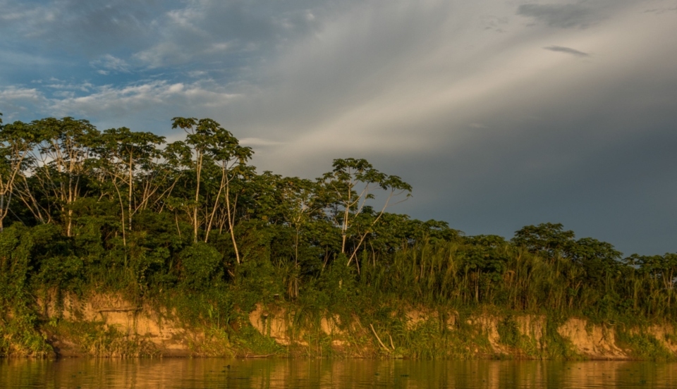 Limay Perú - Portal de Noticias de Lima Norte