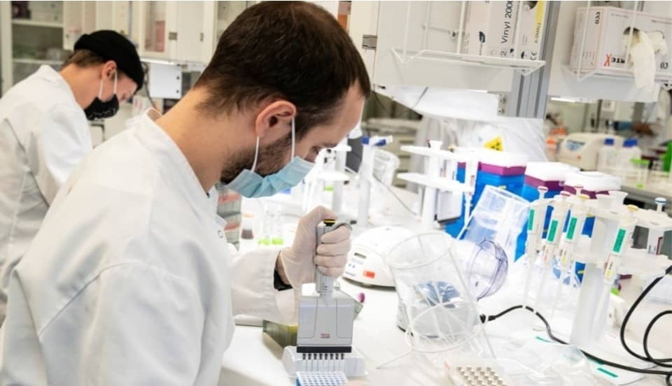 Limay Perú - Portal de Noticias de Lima Norte